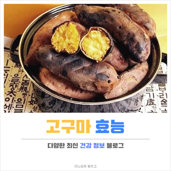  고구마 효능