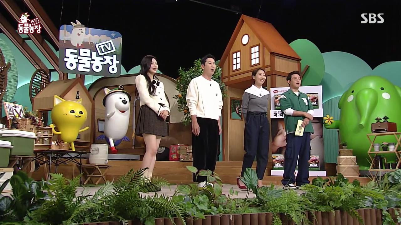 TV 동물농장.E1143.231030p-NEXT.mp4_20231029_161050.031.jpg