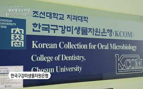 [792회] 생로병사의 비밀 - KBS[세균의 습격, 당신의 잇몸을 지켜라!] 감기보다 병원을 더 자주 찾게 만드는 질병이 있다. 바로 치주질환이다. 2020년 외래 다빈도 질병 1위를 차지한 치은염 및 치주질환 환자는 1,637_20220505_141552.590.jpg