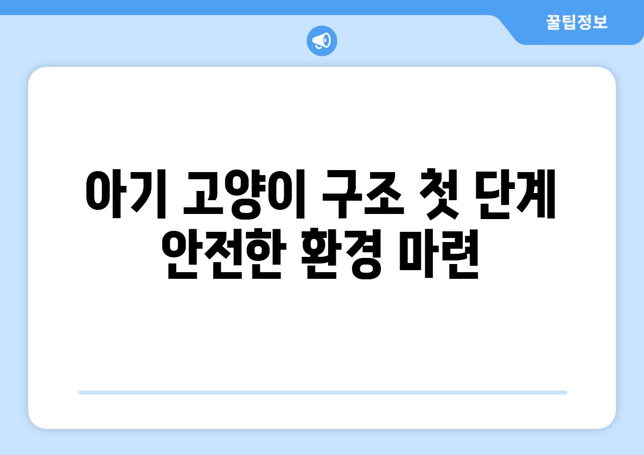 아기 고양이 구조 첫 단계 안전한 환경 마련