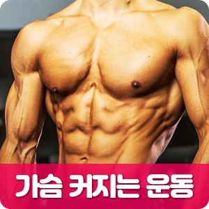  초보자 가슴 운동 베스트 운동 3가지!