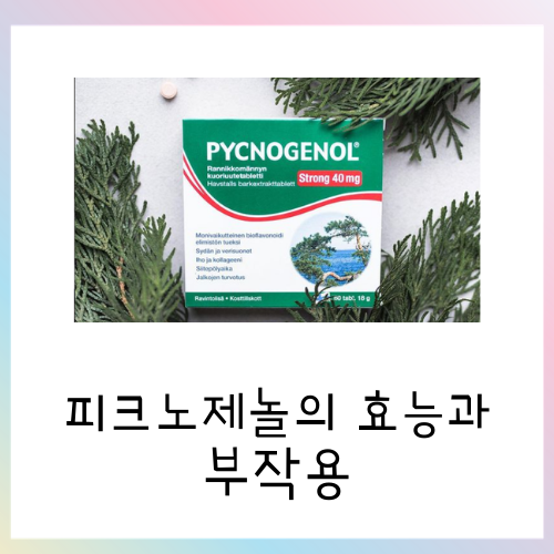  천연회복제 피크노제놀의 효능과 부작용 총정리
