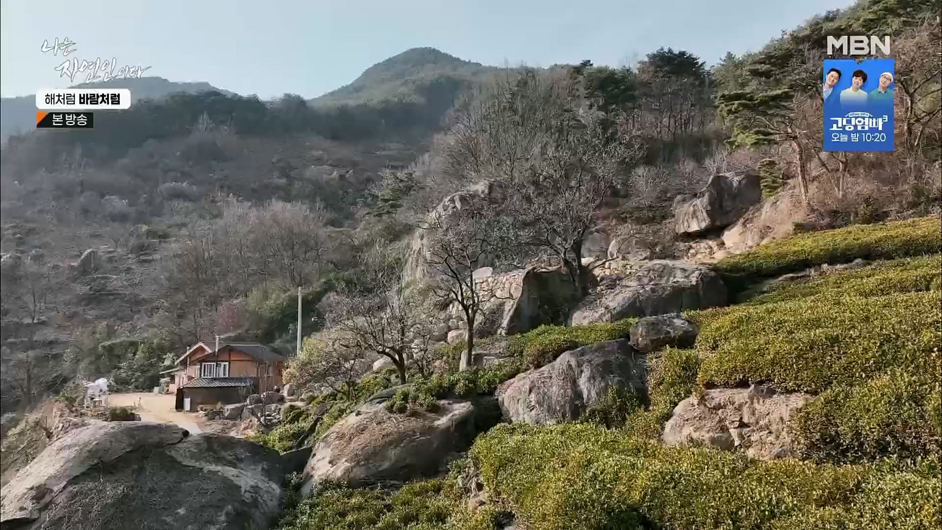 나는 자연인이다.E542.230222p.H264-F1RST.mp4_20230223_195844.660.jpg