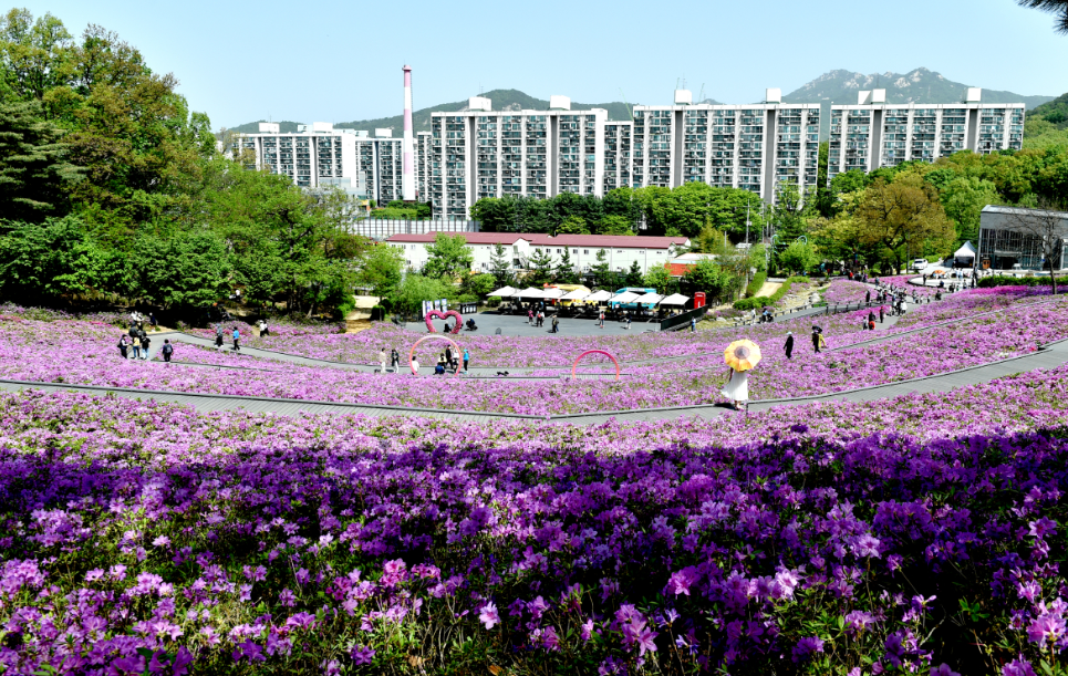 서울 꽃구경