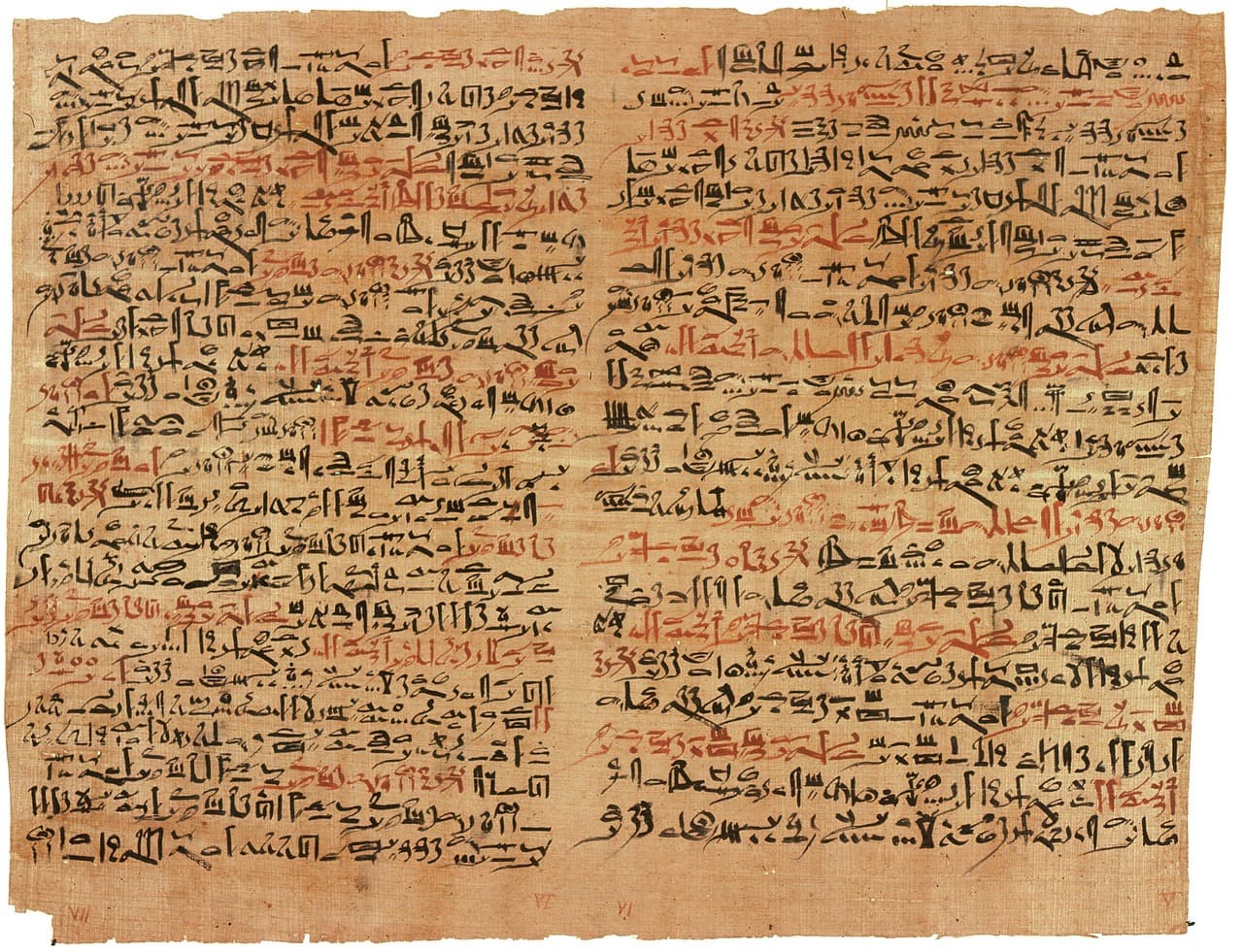 에베르스 파피루스(Ebers Papyrus) 고대 이집트 의학의 보물
