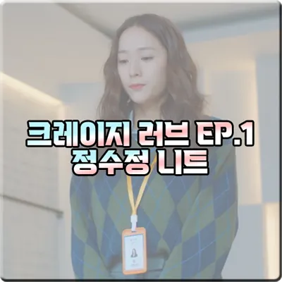 크레이지 러브 정수정 니트