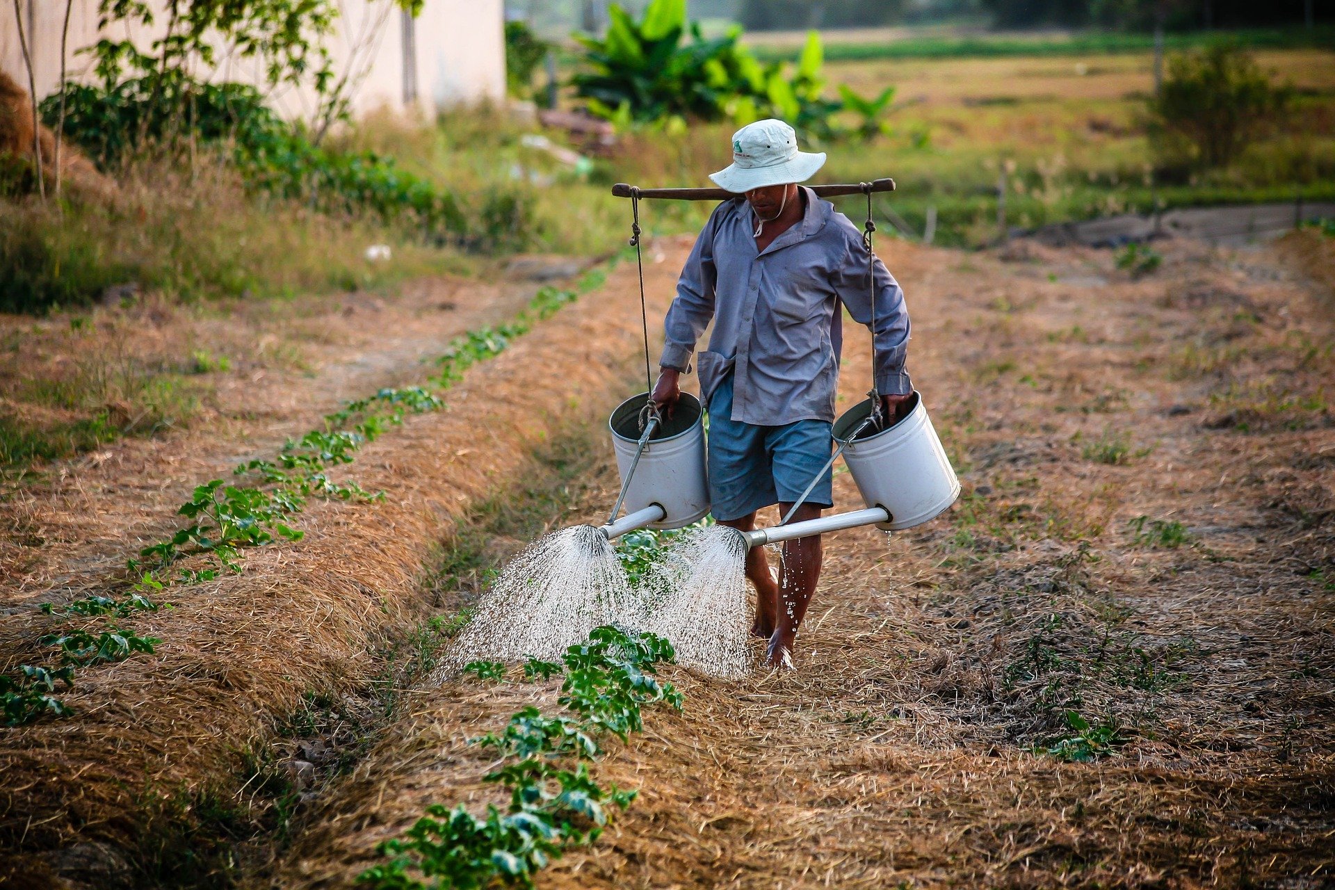 베트남의 최저임금