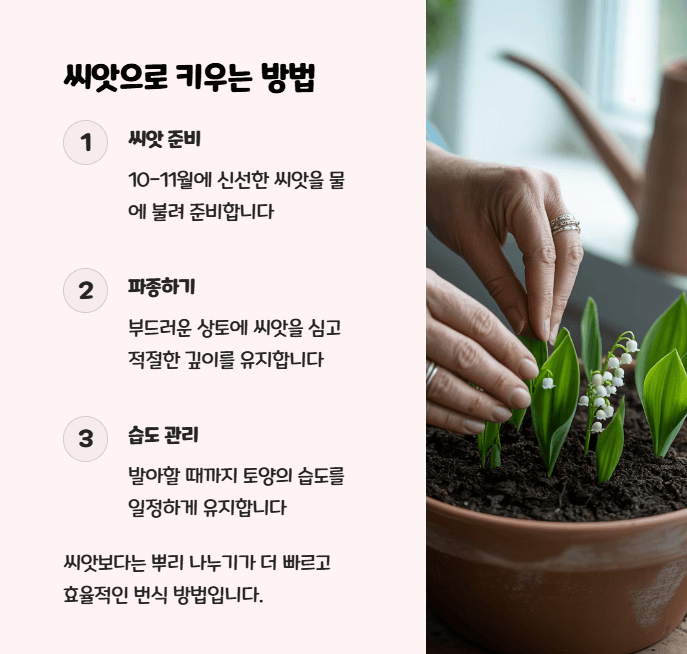은방울꽃 키우기