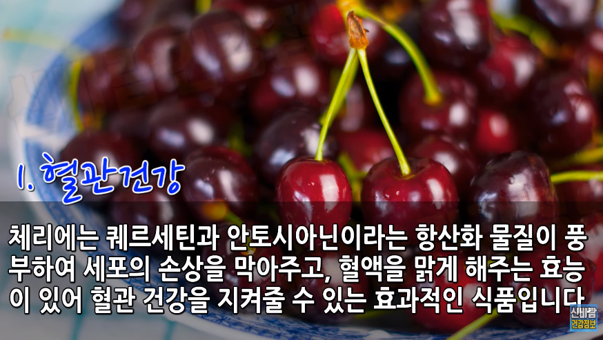 알기 쉬운 타트체리 효능 10가지 알아보기