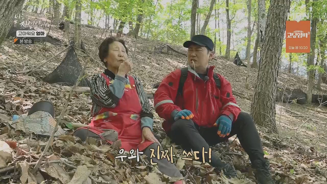 나는 자연인이다.E554.230518p.H264-F1RST.mp4_20230518_194516.304.jpg