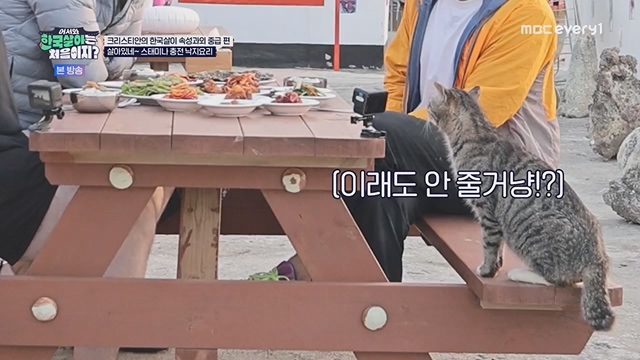 어서와 한국살이는 처음이지.E09.230718p.H264-F1RST.mp4_20230718_212115.958.jpg