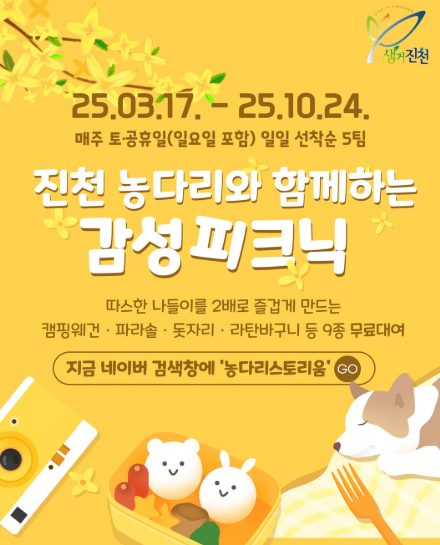 감성 피크닉