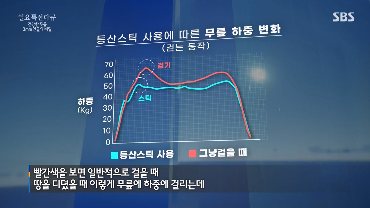 일요특선 다큐멘터리.E341.240318p-NEXT.mp4_20240317_190307.726.jpg