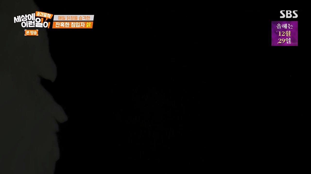 순간포착 세상에 이런일이.E1257.231224p-NEXT.mp4_20231224_180236.926.jpg