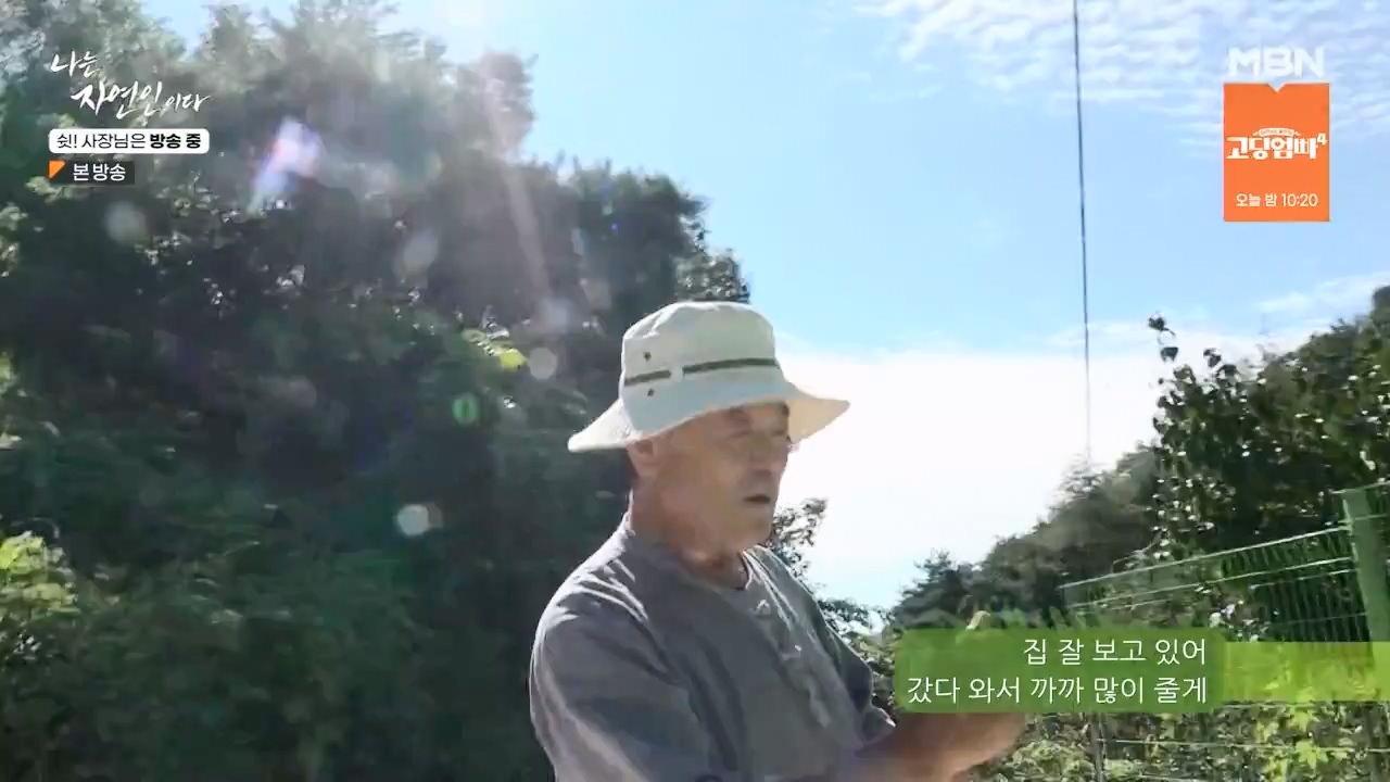 나는 자연인이다.E573.230928p-NEXT.mp4_20230929_174814.983.jpg