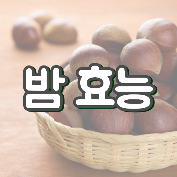 밤효능