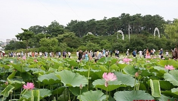 궁남로7 이미지