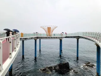 묵호항 배시간표 배편 요금 예약_22