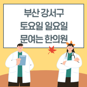 부산 강서구 토요일 일요일 한의원 진료 병원 리스트