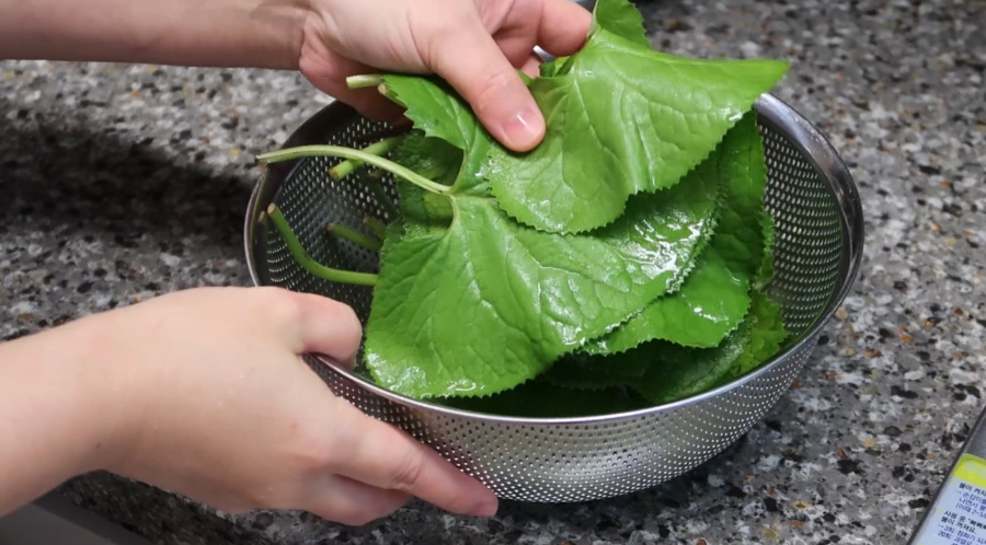 곰취 나물 데치는 방법