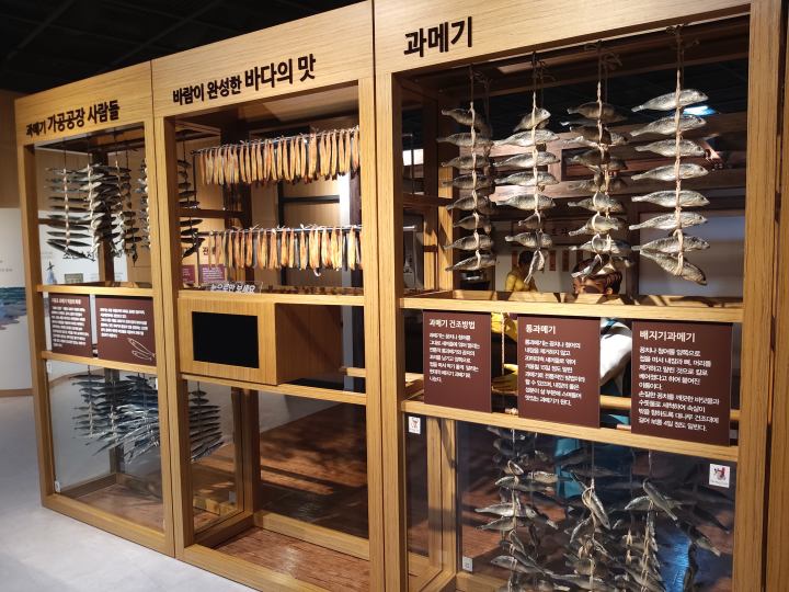 [포항 아이와 가볼만한곳] 구룡포 과메기 문화관 방문 후기
