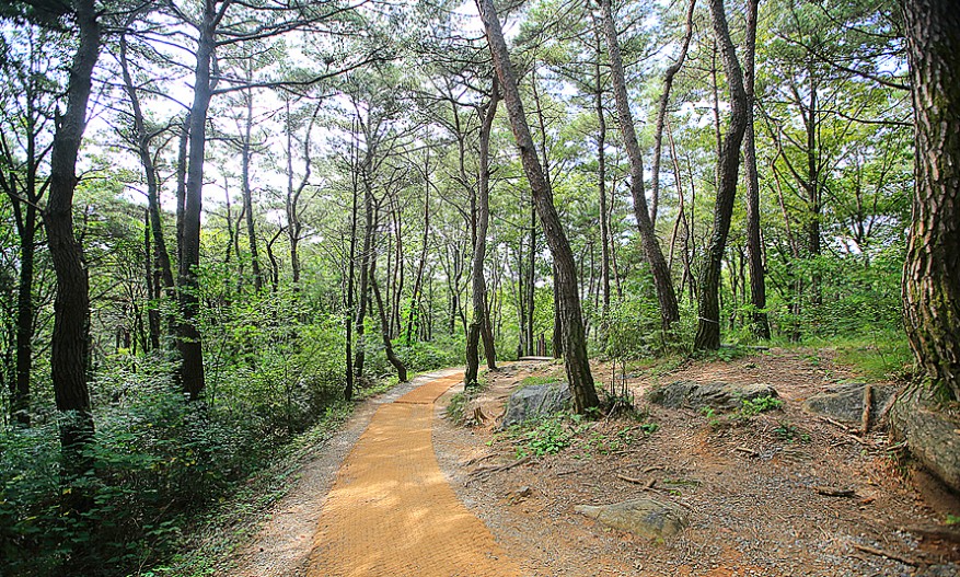 산책로