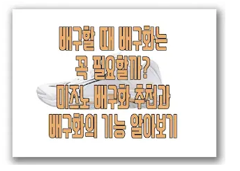 배구화에 관한 글 보러 가기 링크 사진