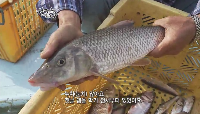 고기밥상 이미지