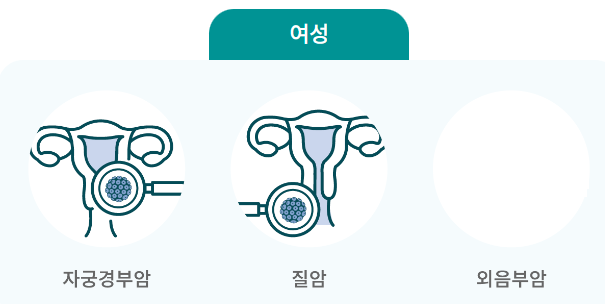 HPV-여성질병