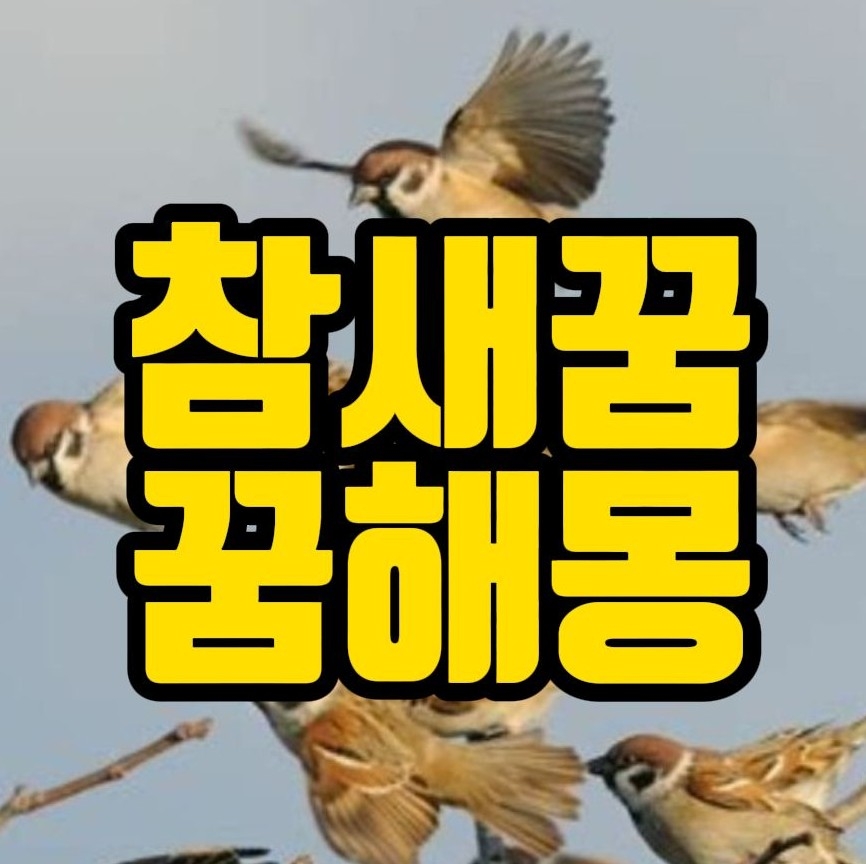  [꿈해몽] 참새꿈,참새떼꿈,참새먹는꿈 관련 꿈풀이