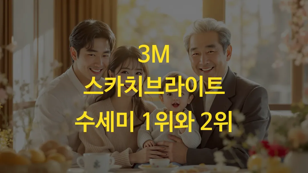 3M 스카치브라이트 수세미 1위와 2위 제품 내구성 비교