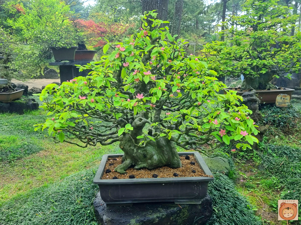 한림공원