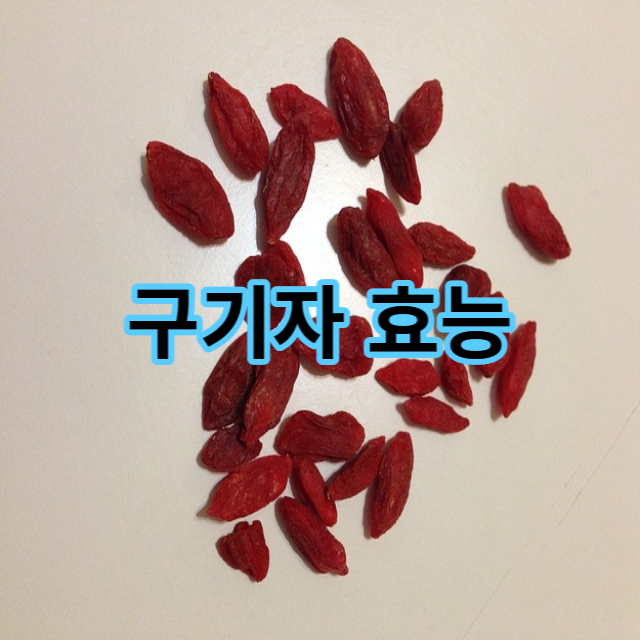  구기자 효능과 부작용 성질에 대해 알아봐요