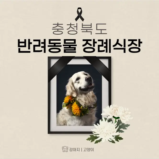  충북 반려동물 장례식장 고양이 강아지 장례 화장 업체 5곳