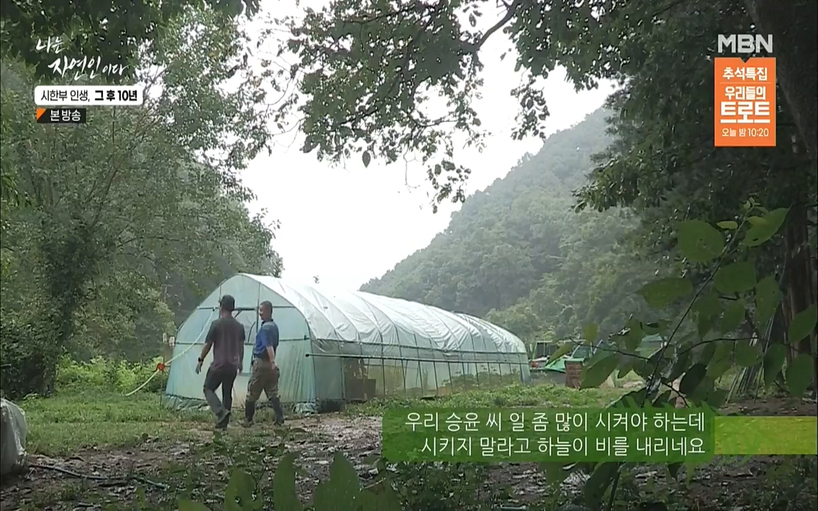 나는 자연인이다.E518.220908p.WANNA.mp4_20220908_200817.342.jpg