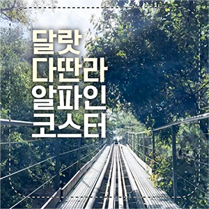 알파인코스터 섬네일