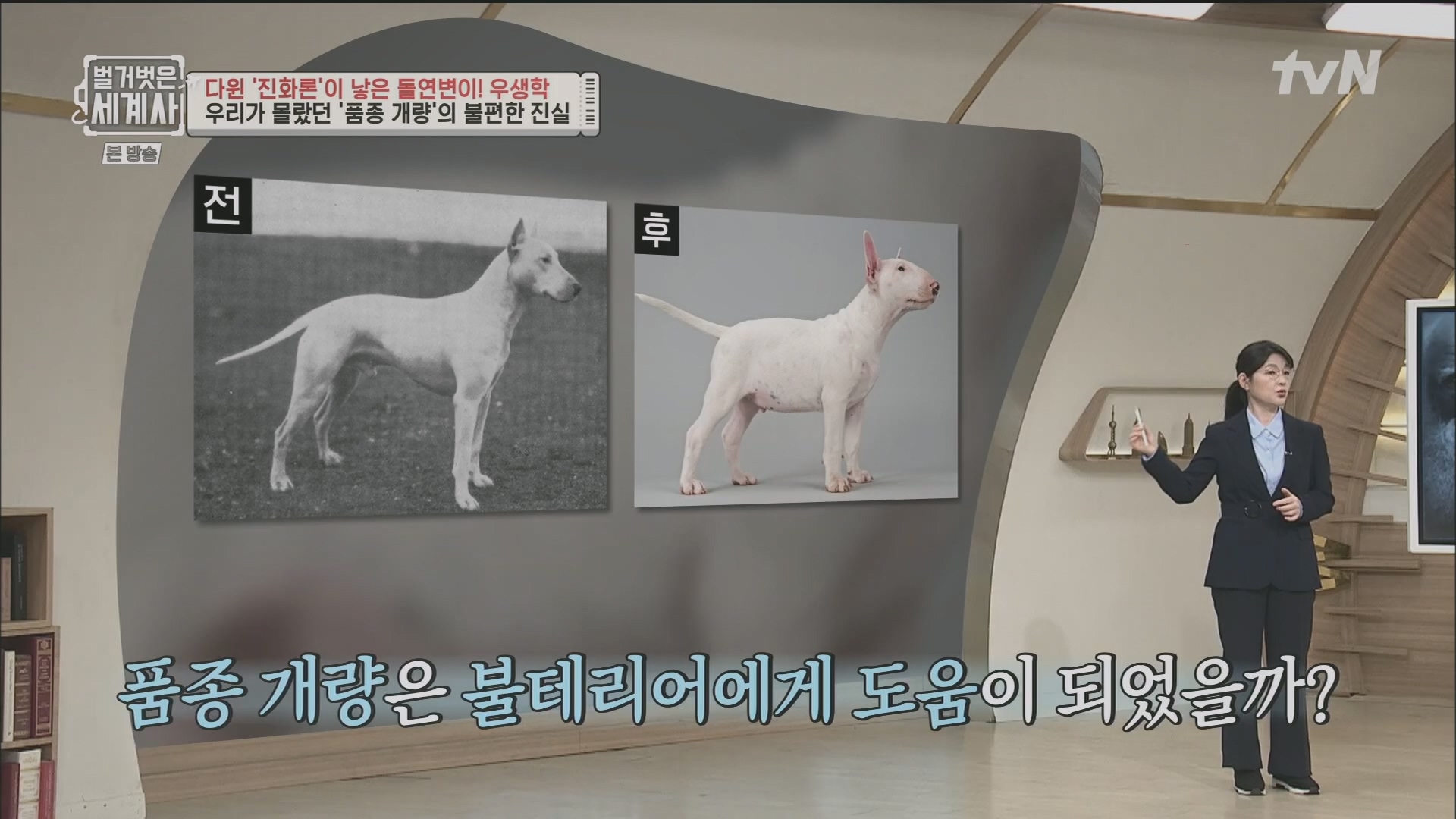 벌거벗은 세계사.E97.230502p.H264-F1RST.mp4_20231224_171028.794.jpg