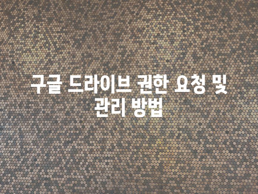 구글 드라이브 권한 요청 및 관리 방법