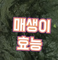 매생이-효능