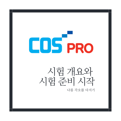 cos pro 시험 개요