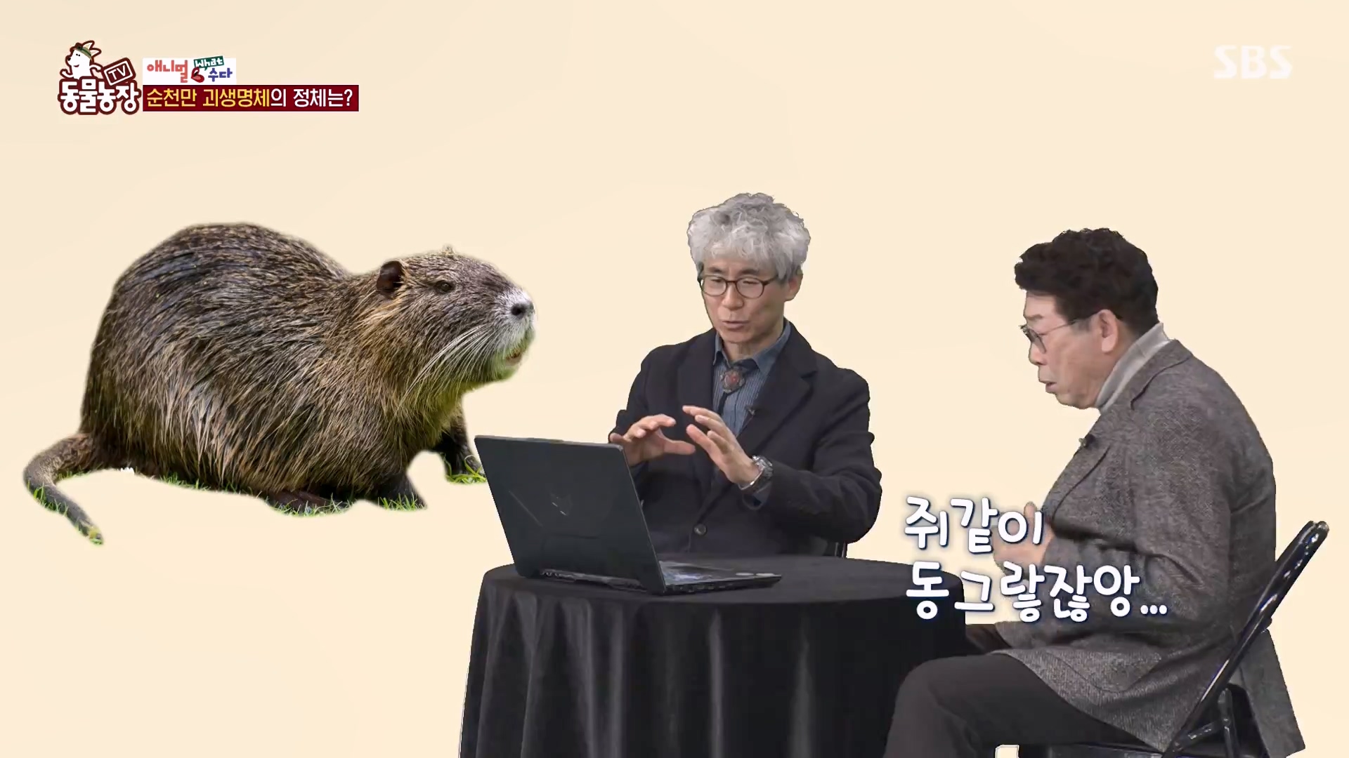 TV 동물농장.E1164.240324p-NEXT.mp4_20240324_170412.436.jpg