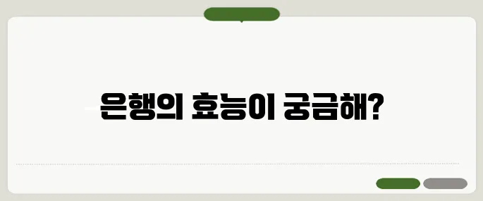 은행 효능 혈액순환 개선과 뇌 건강에 도움될까?