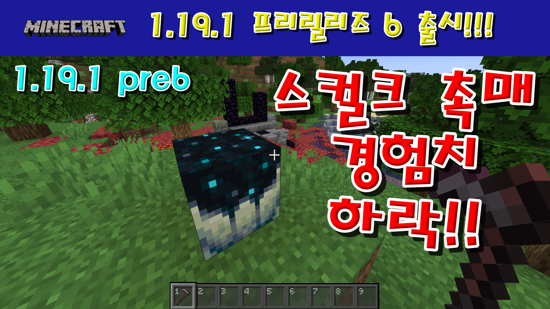  마인크래프트 1.19.1 프리릴리즈 6 출시!!!
