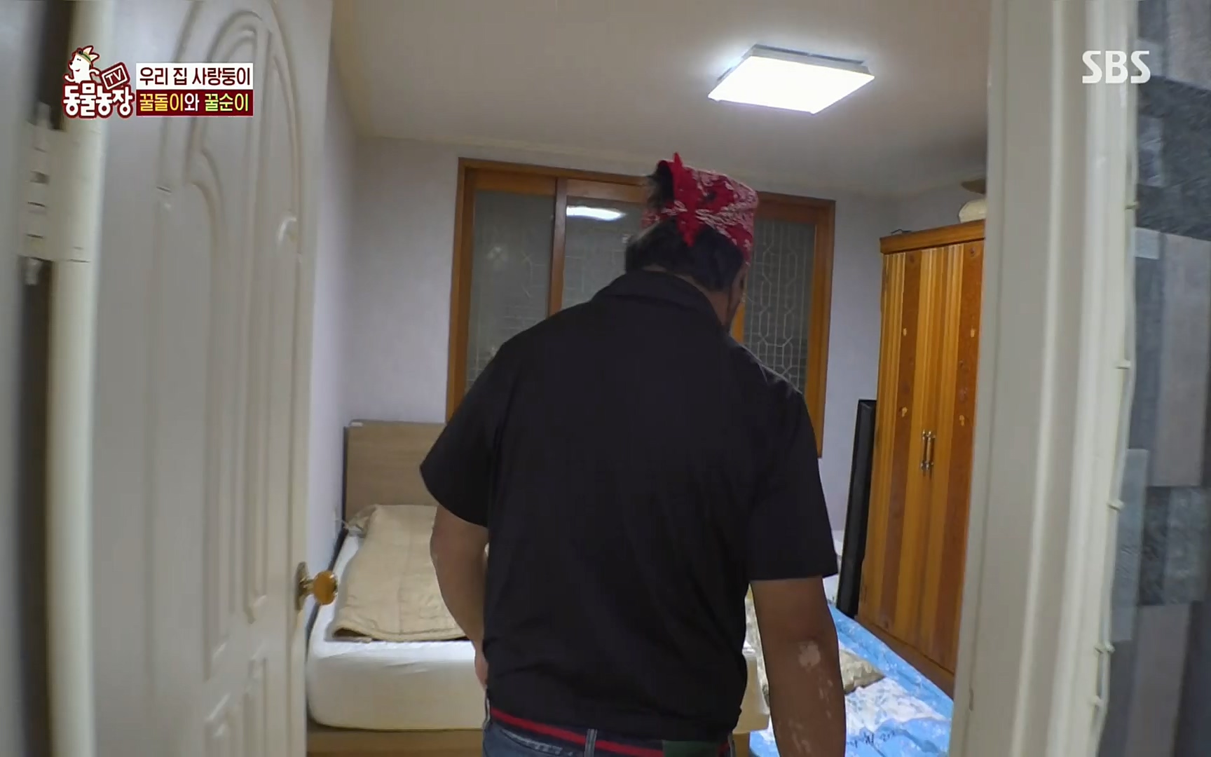 TV 동물농장.E1069.220515p.H264-F1RST.mp4_20220515_181246.337.jpg