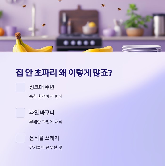 초파리 없애는법 5분 해결! 집에서 바로 만드는 유인 트랩 요약 이미지