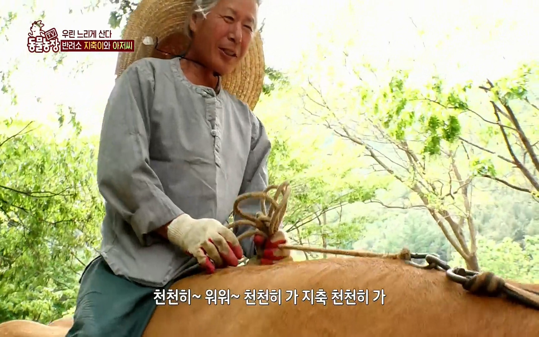 TV 동물농장.E1074.220619p.H264-F1RST.mp4_20220619_181309.615.jpg