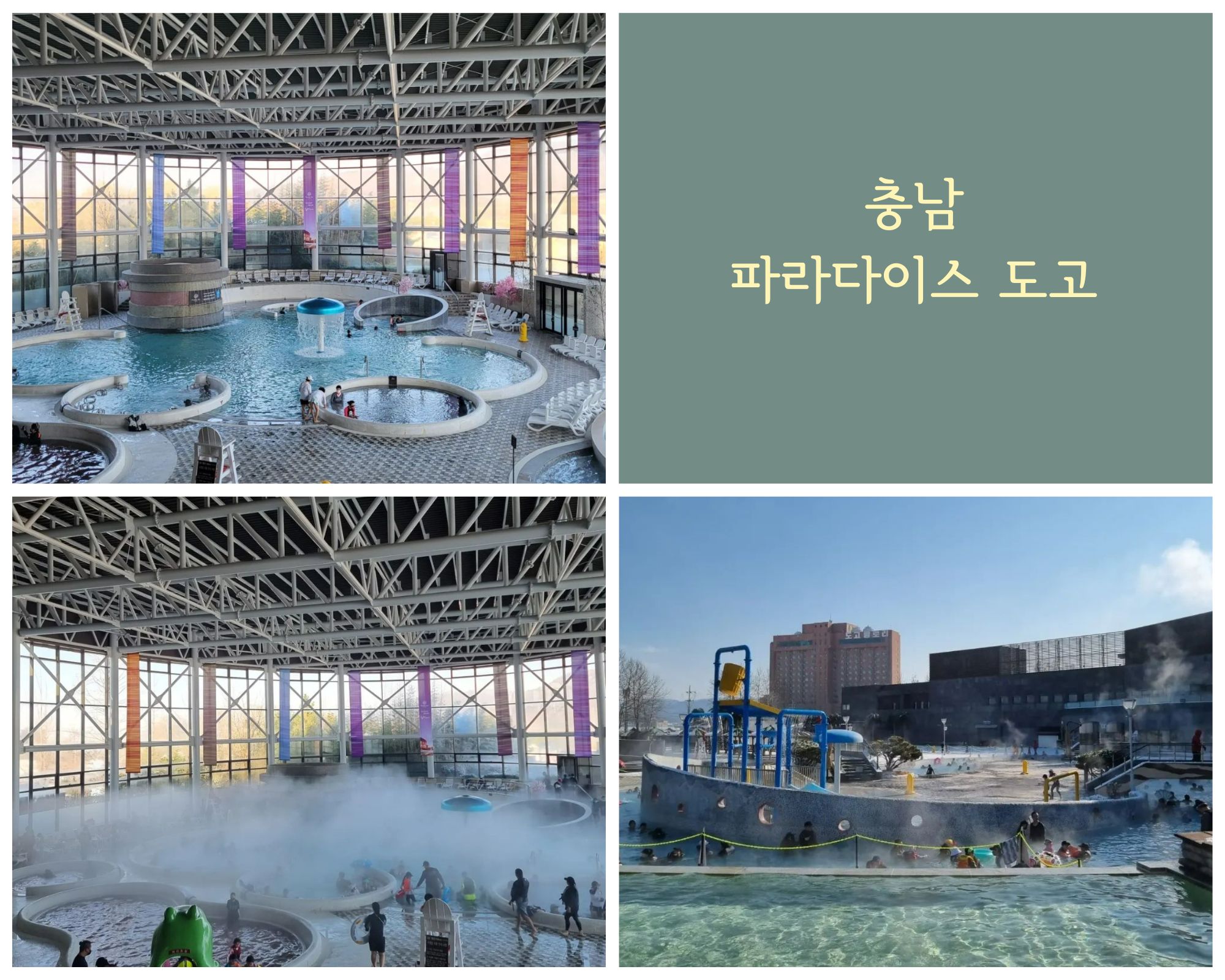 충남-파라다이스-도고-사진