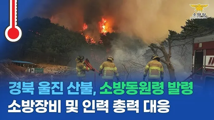 경북 울진 드라이브 코스 추천 전망대 포함 명소 탐방_4