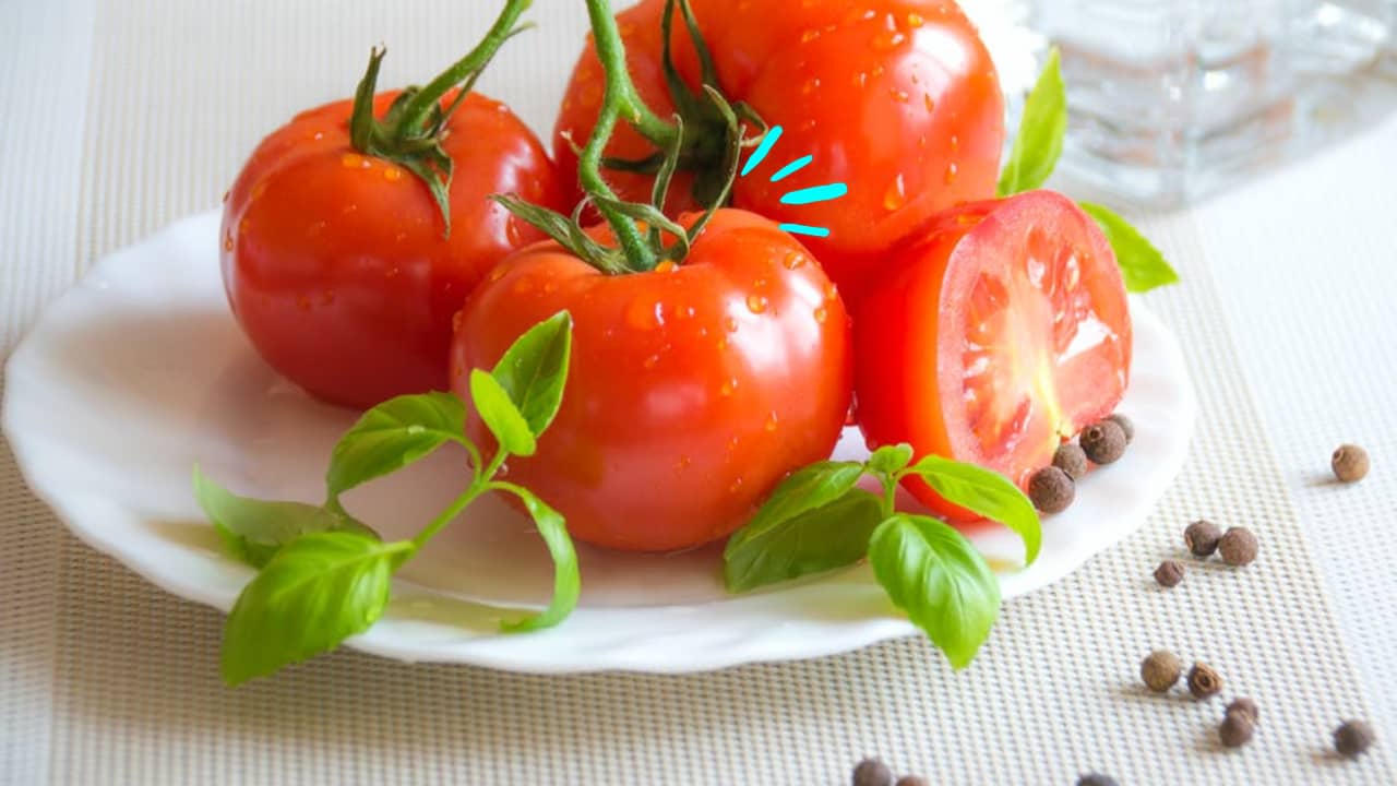 접시에 올려있는 신선한 토마토