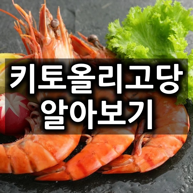  키토올리고당 고투카원 (GO2KA1) 효능 및 특징 분석